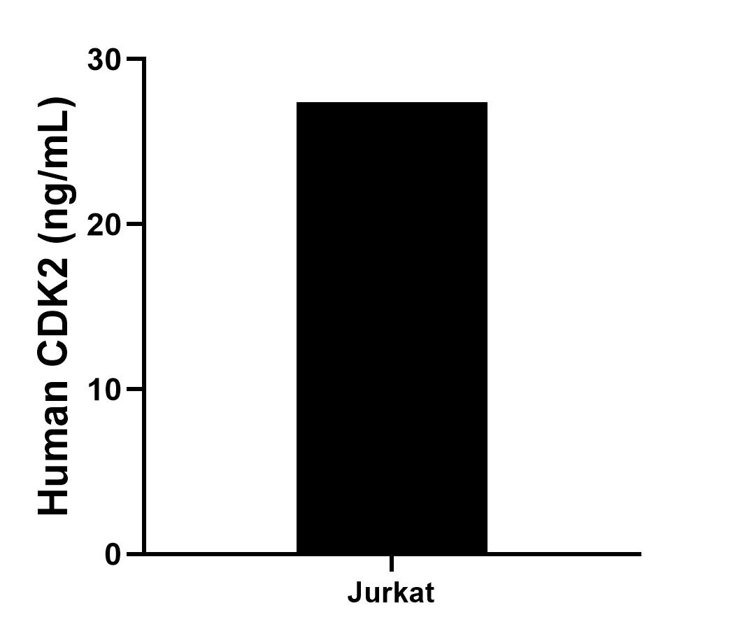 Sample test of MP00611-4